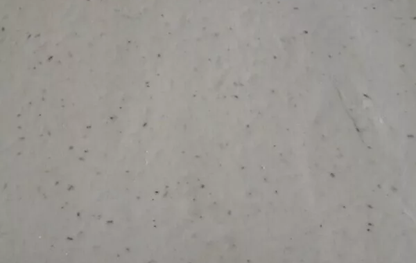 Pâte à pizza