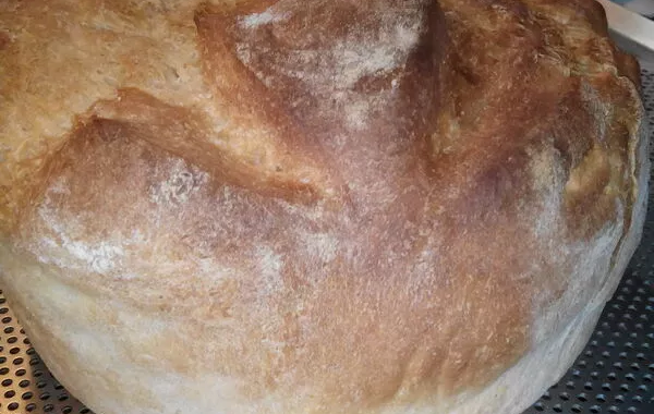 pain de campagne