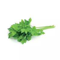 3 branche(s) de coriandre