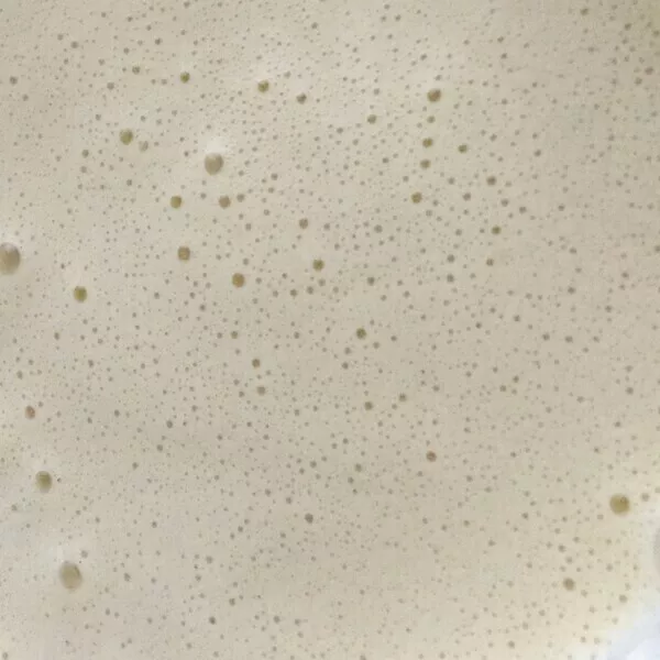 Crème anglaise au lait végétal à la vanille 