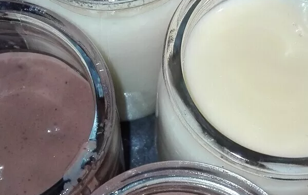 Ma crème dessert