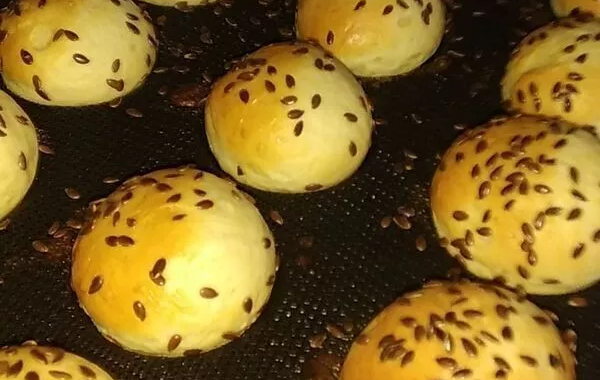 PAINS BURGER