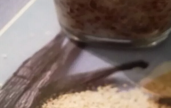 Quinoa au lait d'amandes et à la vanille