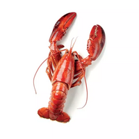 2 langoustine(s)