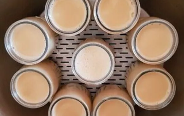 oeufs au lait individuels maudinette