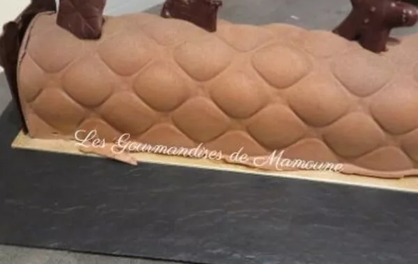 Bûche citron gianduja