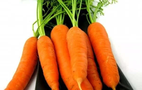 Carottes Vapeur