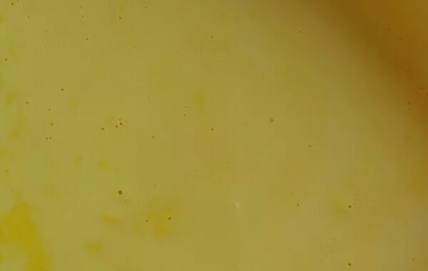 Crème anglaise à la fleur d'oranger