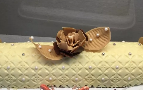 Bûche citronnée ,praliné crémeux sur biscuit croquant