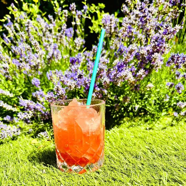 granité pastèque menthe fraise 