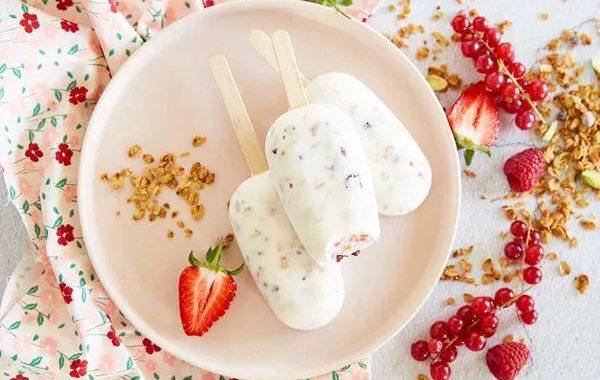Glaces au yaourt muesli fruits rouges