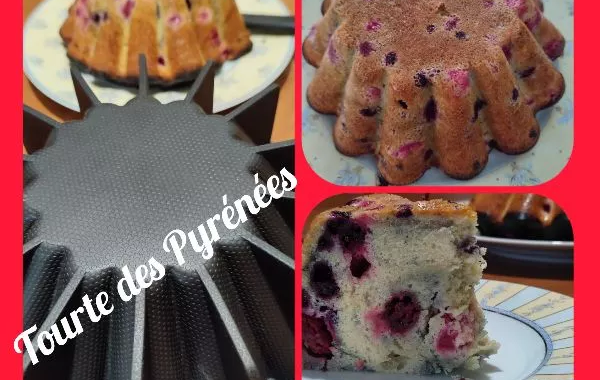 Tourte des Pyrénées Moule Brioche Parisienne