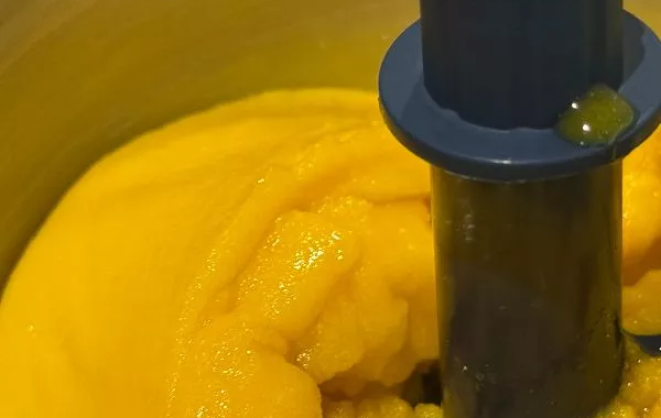 Le sorbet mangue
