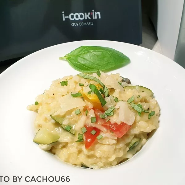 Risotto aux légumes du soleil ICK by Cachou66