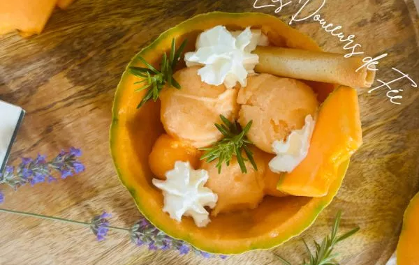 Sorbet Melon
