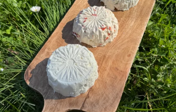 PETITS FROMAGES FRAIS DE BREBIS AROMATISES