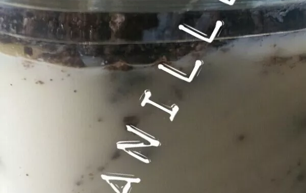 Crème vanille Oréo