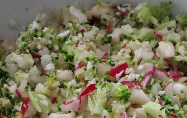 Salade de Crudités