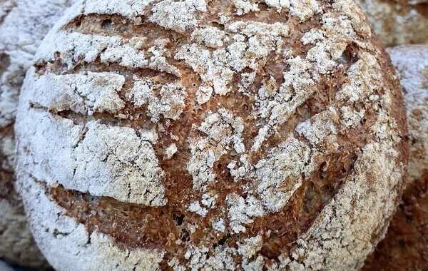 Petits pains au son de blé (levure fraîche)