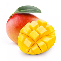 300 gramme(s) de mangue bien mûre (1 unité)