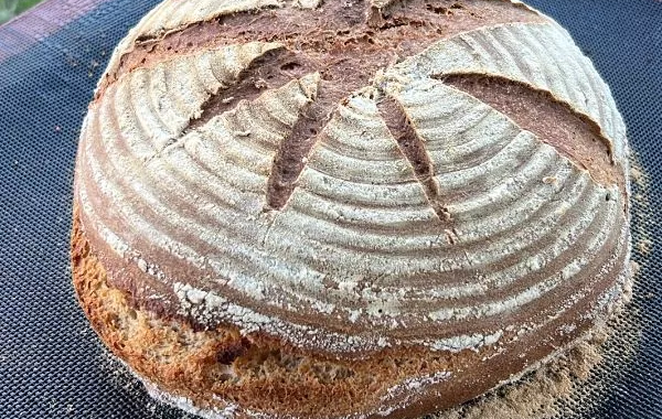 Pain au Levain