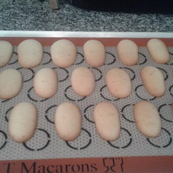 Langues de chat