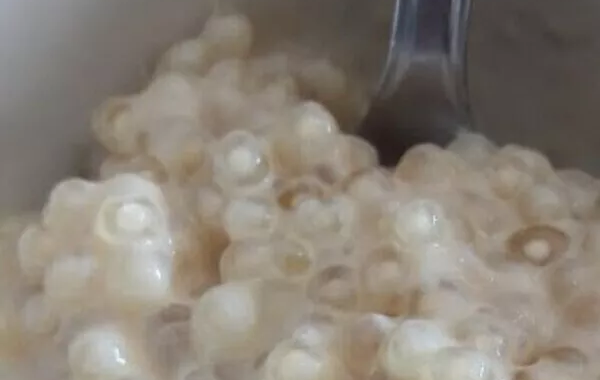 Tapioca au lait