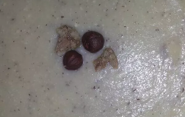 Crème de panais, pommes de terre et noisettes