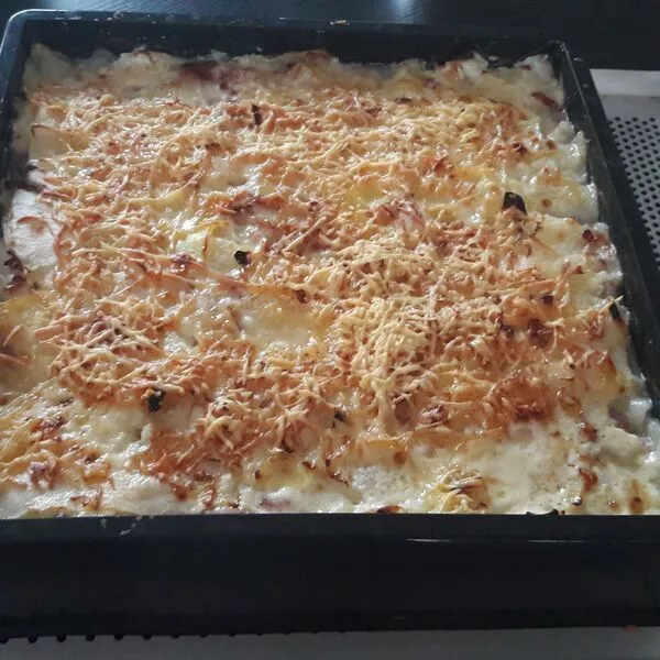 Gratin de pâtisson