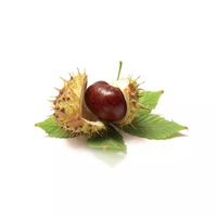 200 gramme(s) de marrons