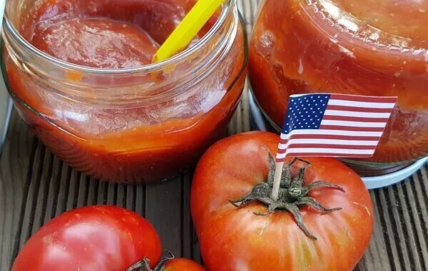 Tomato Ketchup maison