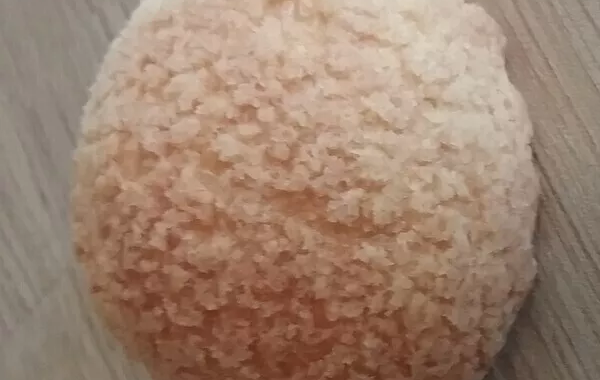 Craquelins pour choux selon Mercotte
