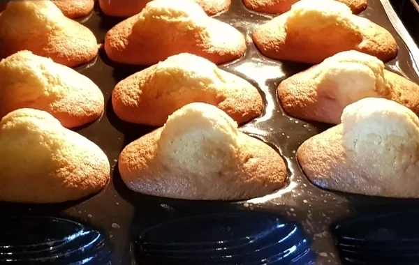 Madeleines vanille