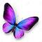 roxyh_5057