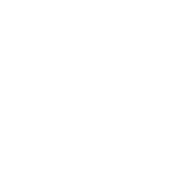 TEST LANGUAGE DEV