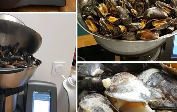 Moules au Roquefort 4 litres XXL inspirée du livre "les moules frites de Léon"