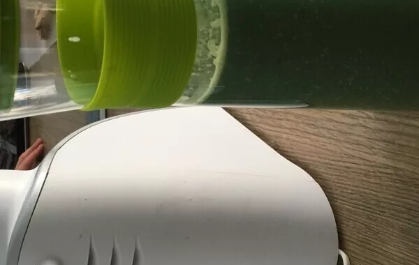 Smoothie banane, mangue, kiwi (Vegan)