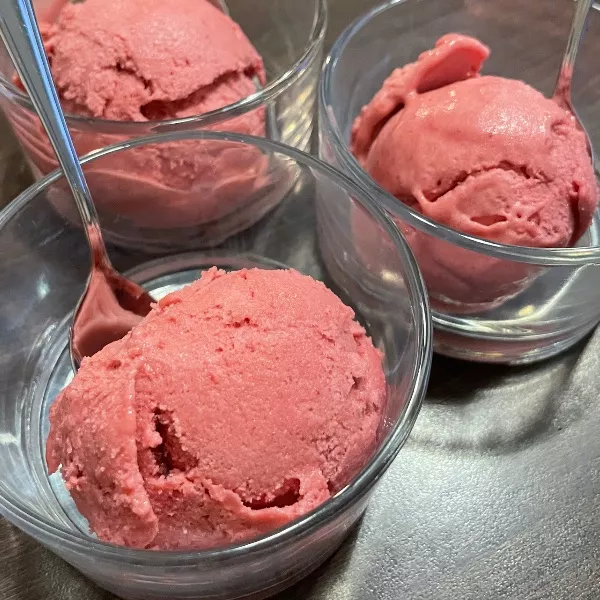 Sorbet pêche de vigne