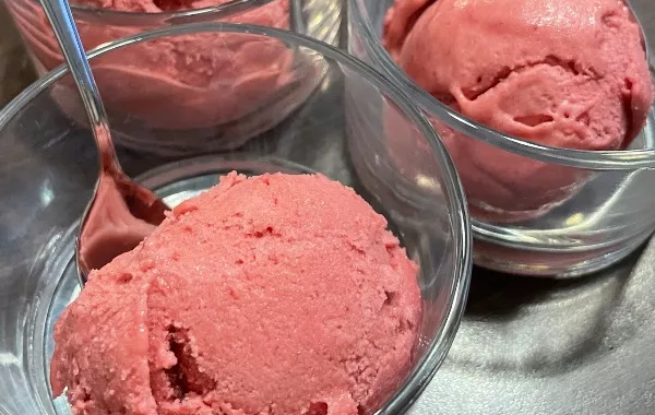 Sorbet pêche de vigne