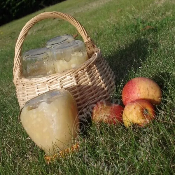 Délice aux Pommes