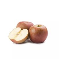 4 pommes boskoop