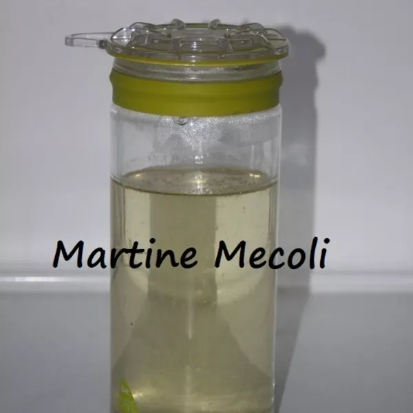 Sirop de sucre de canne maison