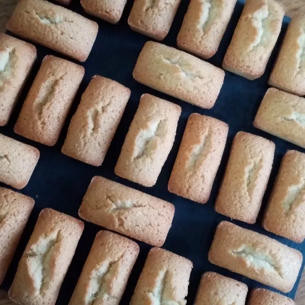 mini financiers