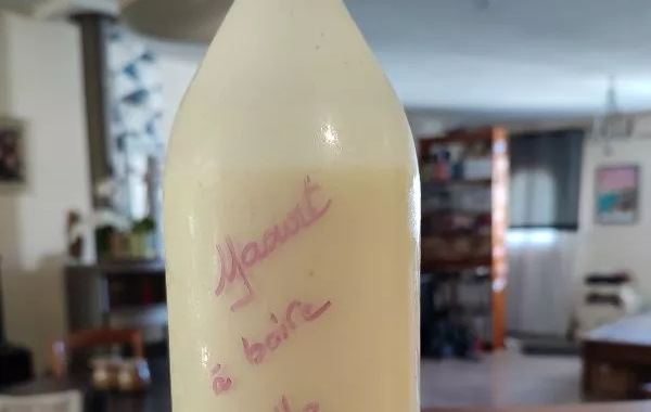 Yaourt à boire à mon goût