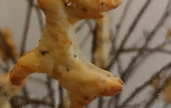 Crackers salés