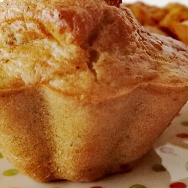 MUFFINS AU RIZ CUIT