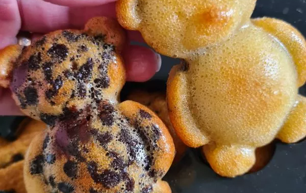 Oursons aux pépites de chocolat