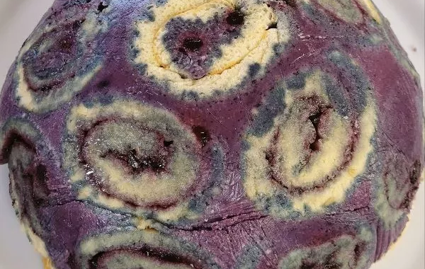Bombe aux myrtilles (gâteau roulé)