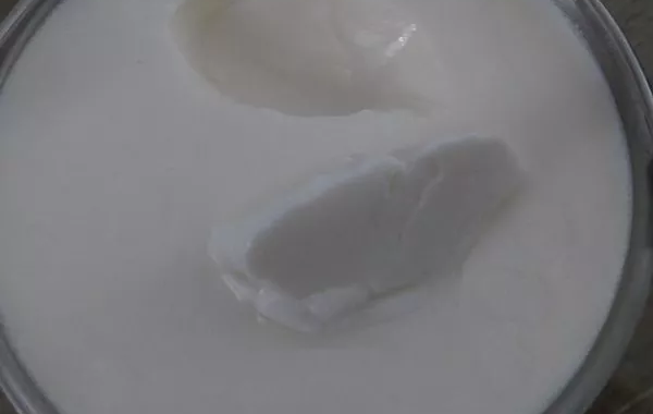 Yaourts à la vanille