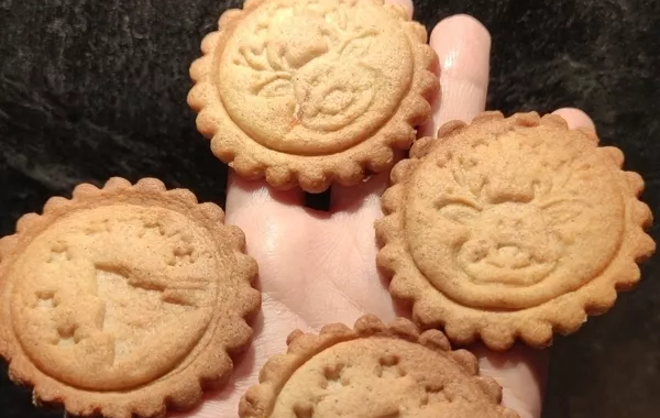 Mes biscuits de Noël